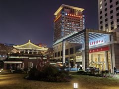 -南京钟山宾馆(江苏省会议中心)