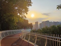 -金鸡山公园