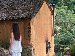 -杨家堂村