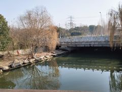 -九里河湿地公园