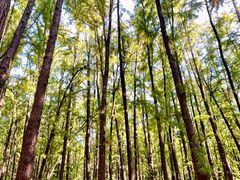 -共青国家森林公园-售票处