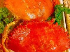 -茉莉.Red Crab