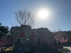 -王莽岭风景区