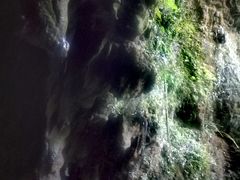 -怀托摩萤火虫洞