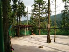 -武陵山森林公园