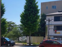 -金泽21世纪美术馆