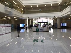 -深圳大学总医院