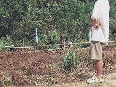 -杭州屏风山越野车营地·团建别墅轰趴民宿