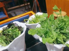 -野菌皇海景野生菌火锅(滨海大道店)