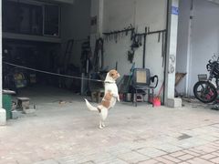 -福清滑粉(一拂店)