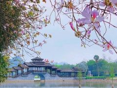 -南宁花花大世界景区