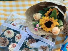 -合肥滨湖国家森林公园