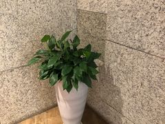 -萨莉亚意式餐厅(石鼓路店)
