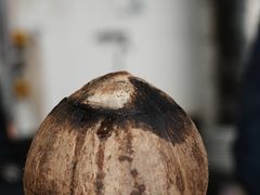 原只椰子淮杞炖乌鸡-達揚原味燉品(文明路店)