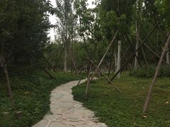 -回龙观体育文化公园