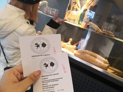 -冰岛阴茎博物馆
