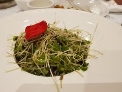 -上海1号私藏菜(静安店)