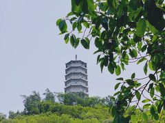 -深圳国际园林花卉博览园