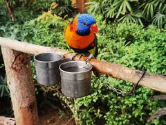 -南宫五洲植物乐园