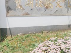 -鹅湖玫瑰文化园