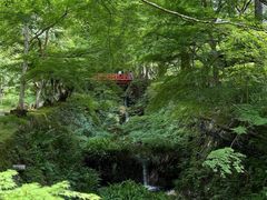 -三千院