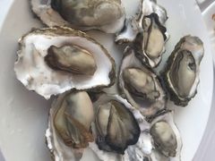 -渔民船说·北塘海鲜·天津菜·海肠捞饭(北塘古镇店)