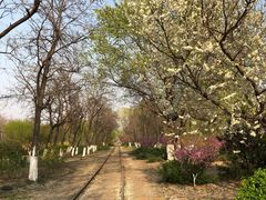 -永定河休闲森林公园