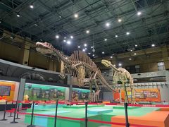 -国家自然博物馆