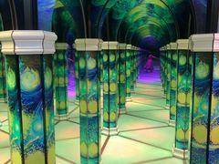 -天津梵高星空艺术馆(天河城旗舰店)