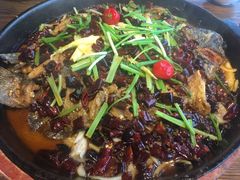 -老板恋上鱼(恒隆广场店)