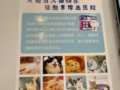 -伟伟宠物医院·瑞派猫友好医院·猫科(光谷店)