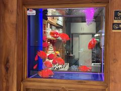 -小吊梨汤·北京菜·烤鸭(清河万象汇店)
