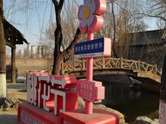 -桃花堤公园
