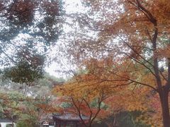 -汇龙潭