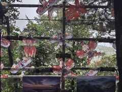 -沂蒙山旅游区云蒙景区(蒙山国家森林公园)