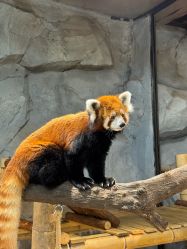 -Zoolung Zoolung动物主题公园(海信广场店)