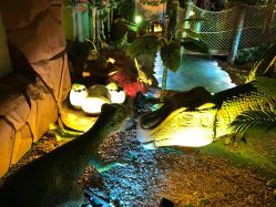 -恐龙探索乐园(磁器口店)