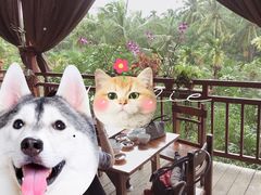 -万兴启丰椰子文化园餐厅