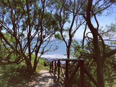 -漳州滨海火山岛自然生态风景区