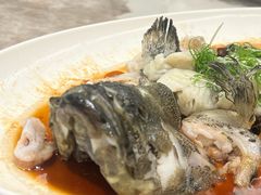 蒸珍珠斑-小榄公饭店·岭南庭院餐厅(民安北路店)