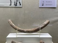 -呼伦贝尔民族博物馆