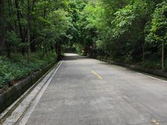 -大屏嶂森林公园