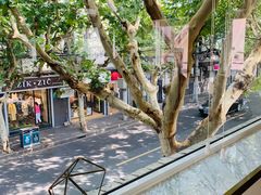 -蝶舍·MAISON PAPILLON