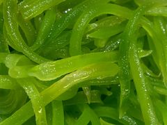 莴笋-苏小柳点心·手作小笼包(浦东嘉里城分院)