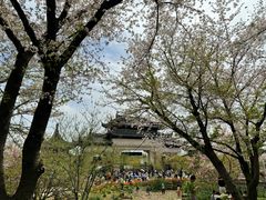 -苏州上方山国家森林公园