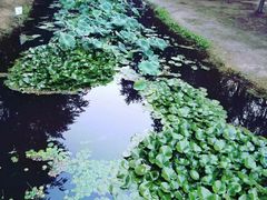 景点-长白岛森林公园