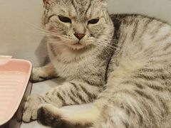 -猫儿山۰猫主题餐厅