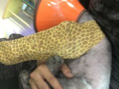 -哆趣宠物医院·眼科·内镜·急重症转诊中心(上海店)