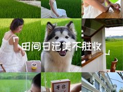 -安顺旧州古镇