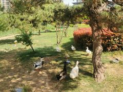 -木塔寺遗址生态公园